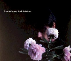 Black Rainbows by Brett Anderson