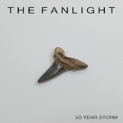 The Fanlight by 50 Year Storm