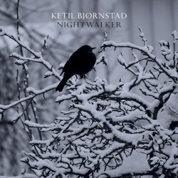 Nightwalker by Ketil Bjørnstad