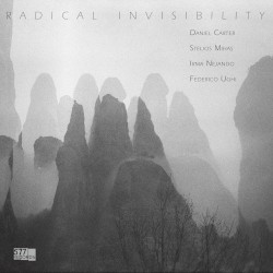 Radical Invisibility by Daniel Carter ,   Stelios Mihas ,   Irma Nejando ,   Federico Ughi