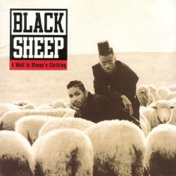 A Wolf in Sheep’s Clothing by Black Sheep