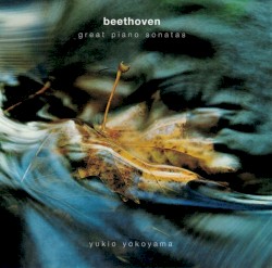 Great Piano Sonatas by Ludwig van Beethoven ;   Yukio Yokoyama