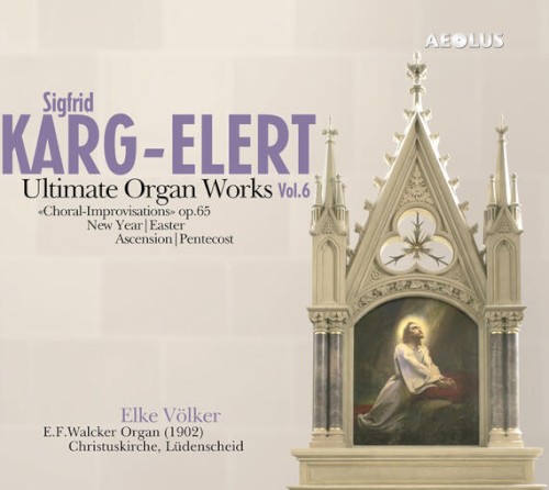 Ultimate Organ Works, Vol. 6