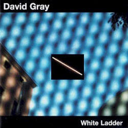 White Ladder by David Gray