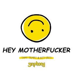 Hey Motherfucker by Timmy Trumpet  &   Nitti Gritti