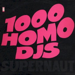 Supernaut by 1000 Homo DJs