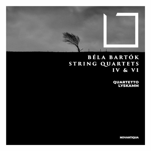 String Quartets IV & VI