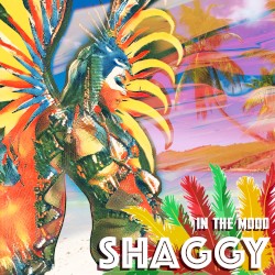 In the Mood by Shaggy