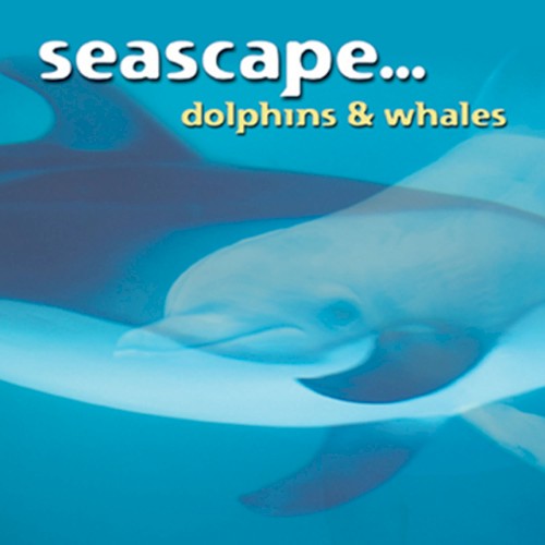 Seascape… Dolphins and Whales