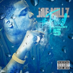 The Flood: Category 5 by Jae Millz