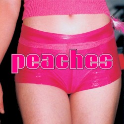 The Teaches of Peaches by Peaches