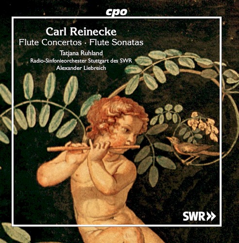 Flute Concertos; Flute Sonatas
