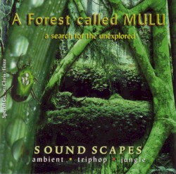 A Search for the Unexplored by A Forest Called Mulu
