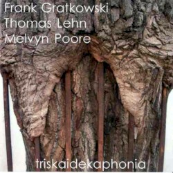 Triskaidekaphonia by Frank Gratkowski ,   Thomas Lehn ,   Melvyn Poore