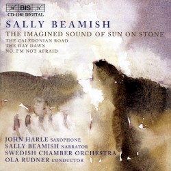 The Imagined Sound of Sun on Stone by Sally Beamish ;   John Harle ,   Sally Beamish ,   Swedish Chamber Orchestra ,   Ola Rudner