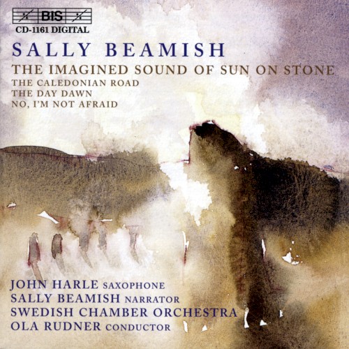 The Imagined Sound of Sun on Stone