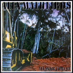 Atlantic Forest by Alex Malheiros