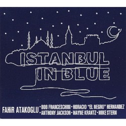 Istanbul in Blue by Fahir Atakoğlu