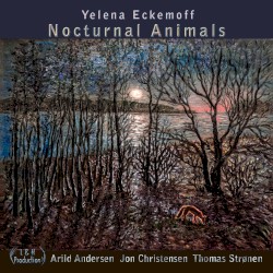 Nocturnal Animals by Yelena Eckemoff ,   Arild Andersen ,   Thomas Strønen