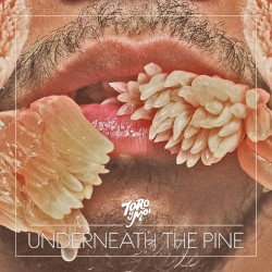 Underneath the Pine by Toro y Moi