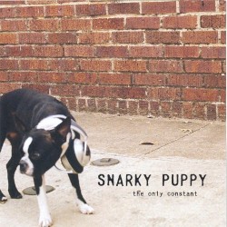 The Only Constant by Snarky Puppy