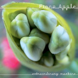 Extraordinary Machine by Fiona Apple