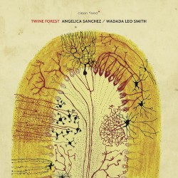 Twine Forest by Angelica Sanchez  /   Wadada Leo Smith