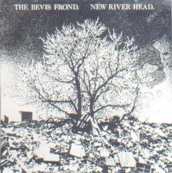 New River Head by The Bevis Frond
