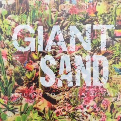 Returns to Valley of Rain by Giant Sand