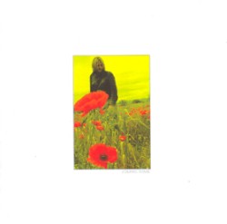 In the Poppy Fields: Five (Coming Home) by The Alarm