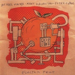 Electric Fruit by Weasel Walter  |   Mary Halvorson  |   Peter Evans
