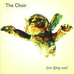 Free Flying Soul by The Choir