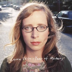 Year of Meteors by Laura Veirs