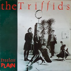 Treeless Plain by The Triffids