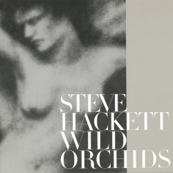 Wild Orchids by Steve Hackett