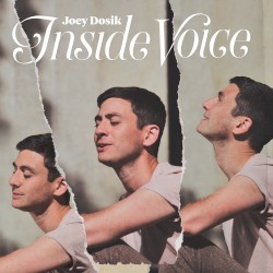Inside Voice by Joey Dosik