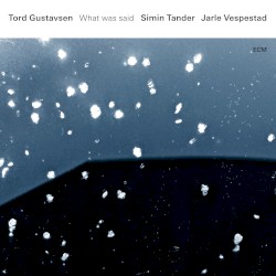 What Was Said by Tord Gustavsen ,   Simin Tander ,   Jarle Vespestad