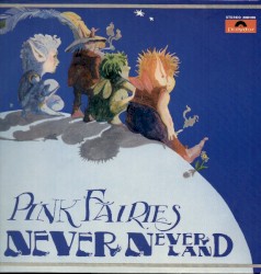 Never Never Land by Pink Fairies