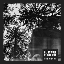 The Woods by Reignwolf  feat.   Brad Wilk