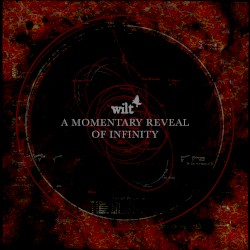 A Momentary Reveal of Infinity by Wilt