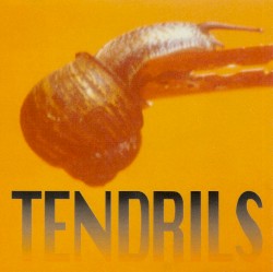 Tendrils by Joel Silbersher  &   Charlie Owen