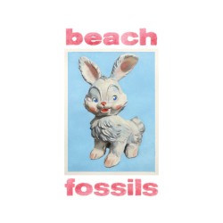 Bunny by Beach Fossils