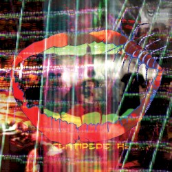 Centipede Hz by Animal Collective