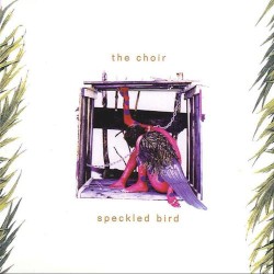 Speckled Bird by The Choir