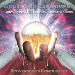 Spontaneous Combustion by Liquid Trio Experiment