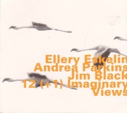 12 (+1) Imaginary Views by Ellery Eskelin ,   Andrea Parkins  &   Jim Black