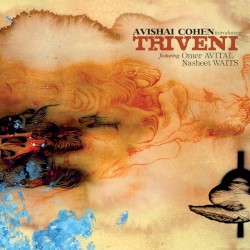 Introducing Triveni by Avishai Cohen ,   Omer Avital ,   Nasheet Waits