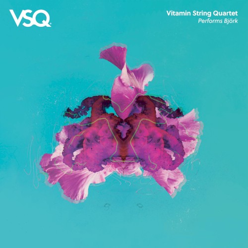 Vitamin String Quartet Performs Björk