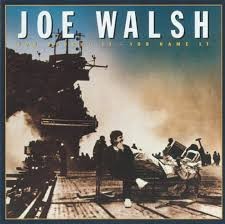 You Bought It—You Name It by Joe Walsh