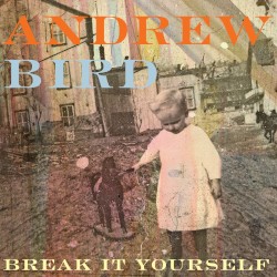 Break It Yourself by Andrew Bird